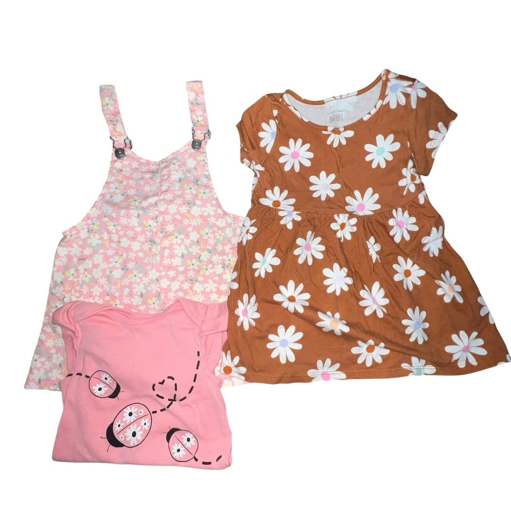 Bundle‎ Of 2 Toddler Girls Dresses 18M Overalls Floral Ladybugs Wonder Nation
